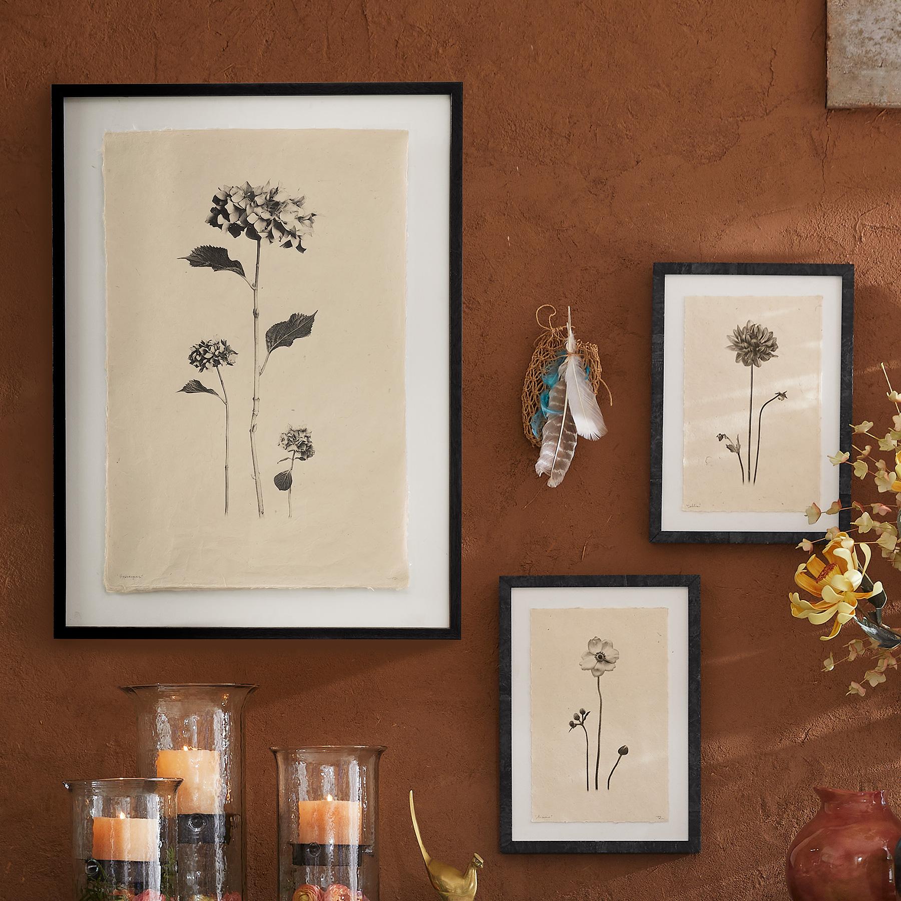 Flower Studies Print