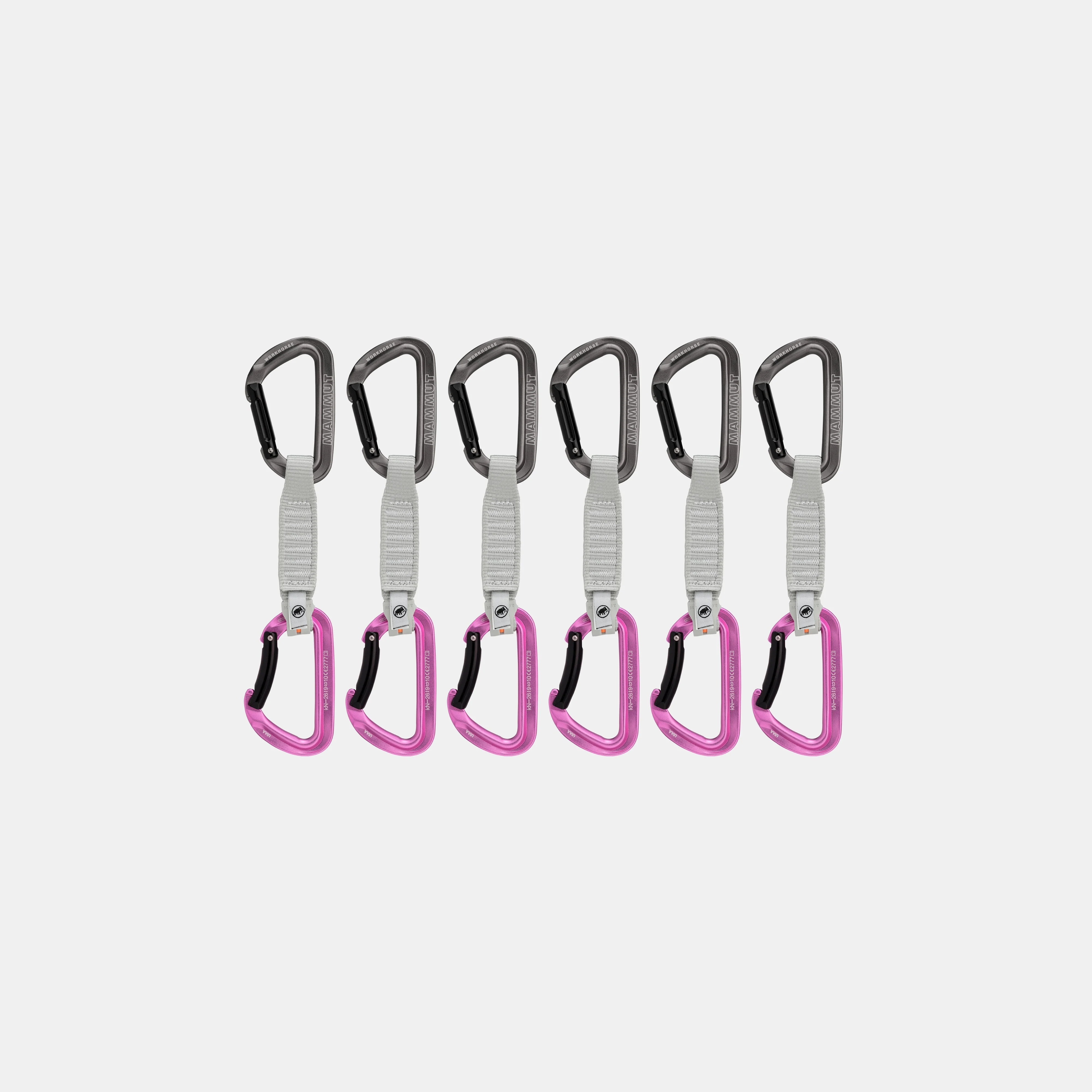 Workhorse Keylock 12 cm 6-Pack Quickdraws