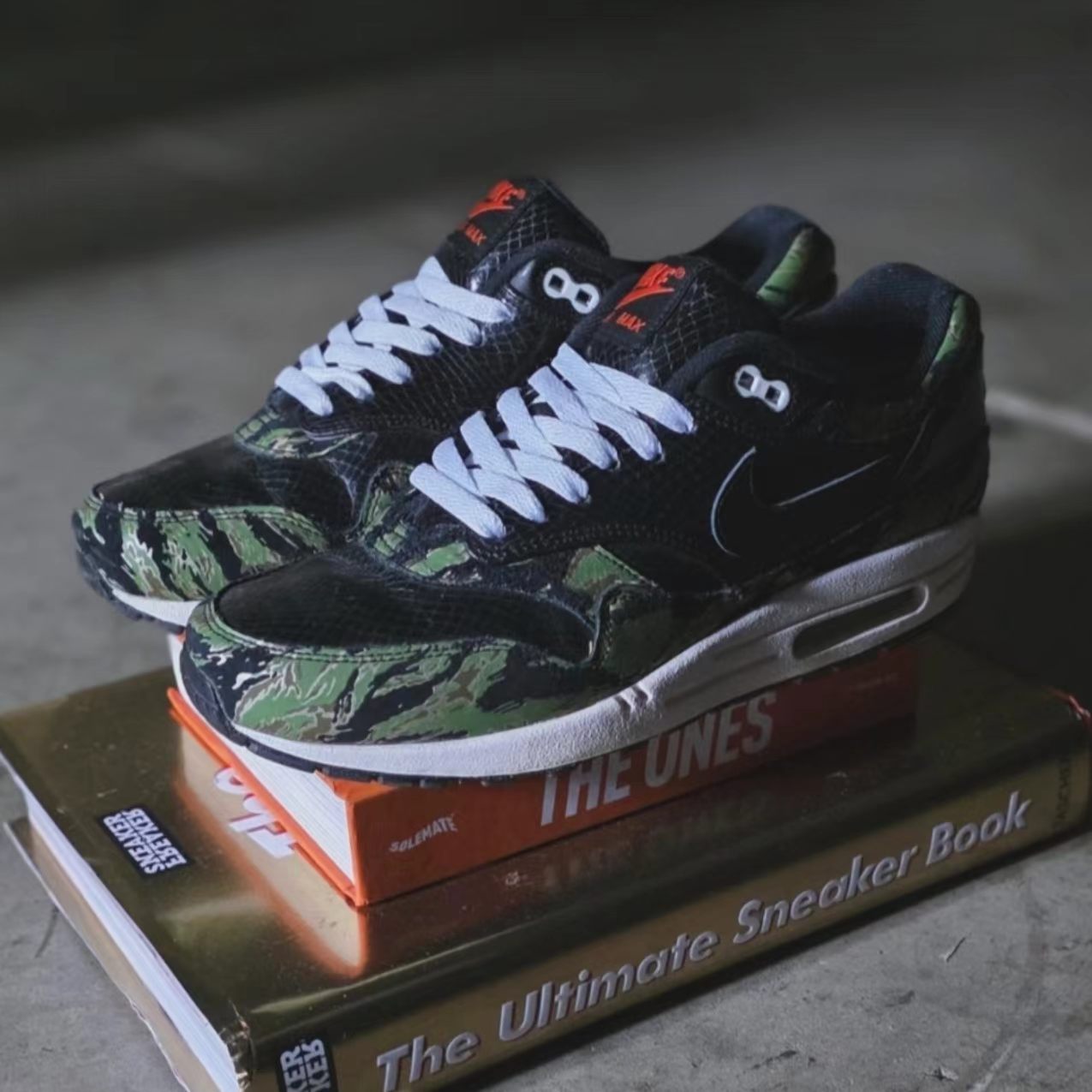 Nike Air Max 1 atmos Tiger Camo