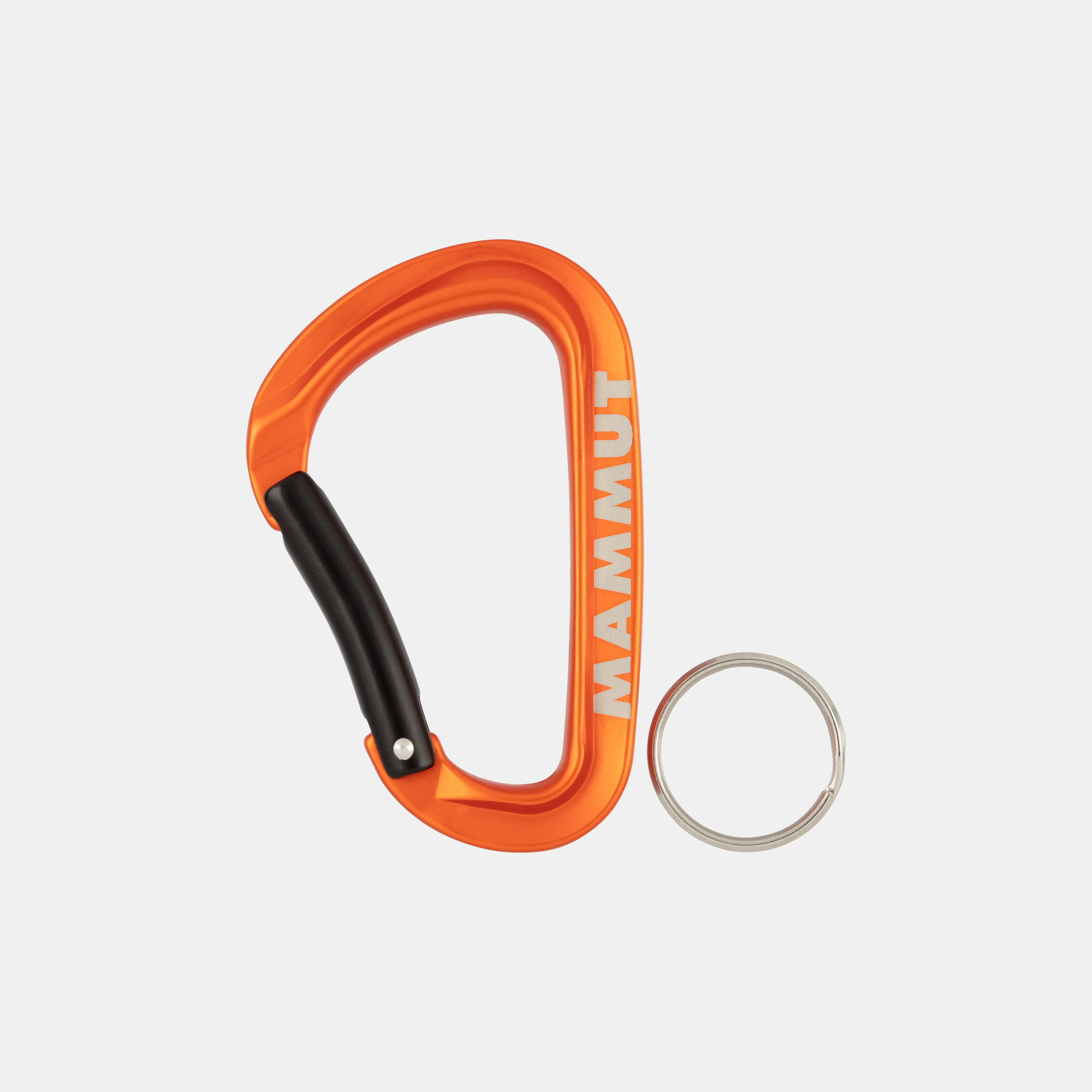 Mammut Mini Carabiner Workhorse Keylock L