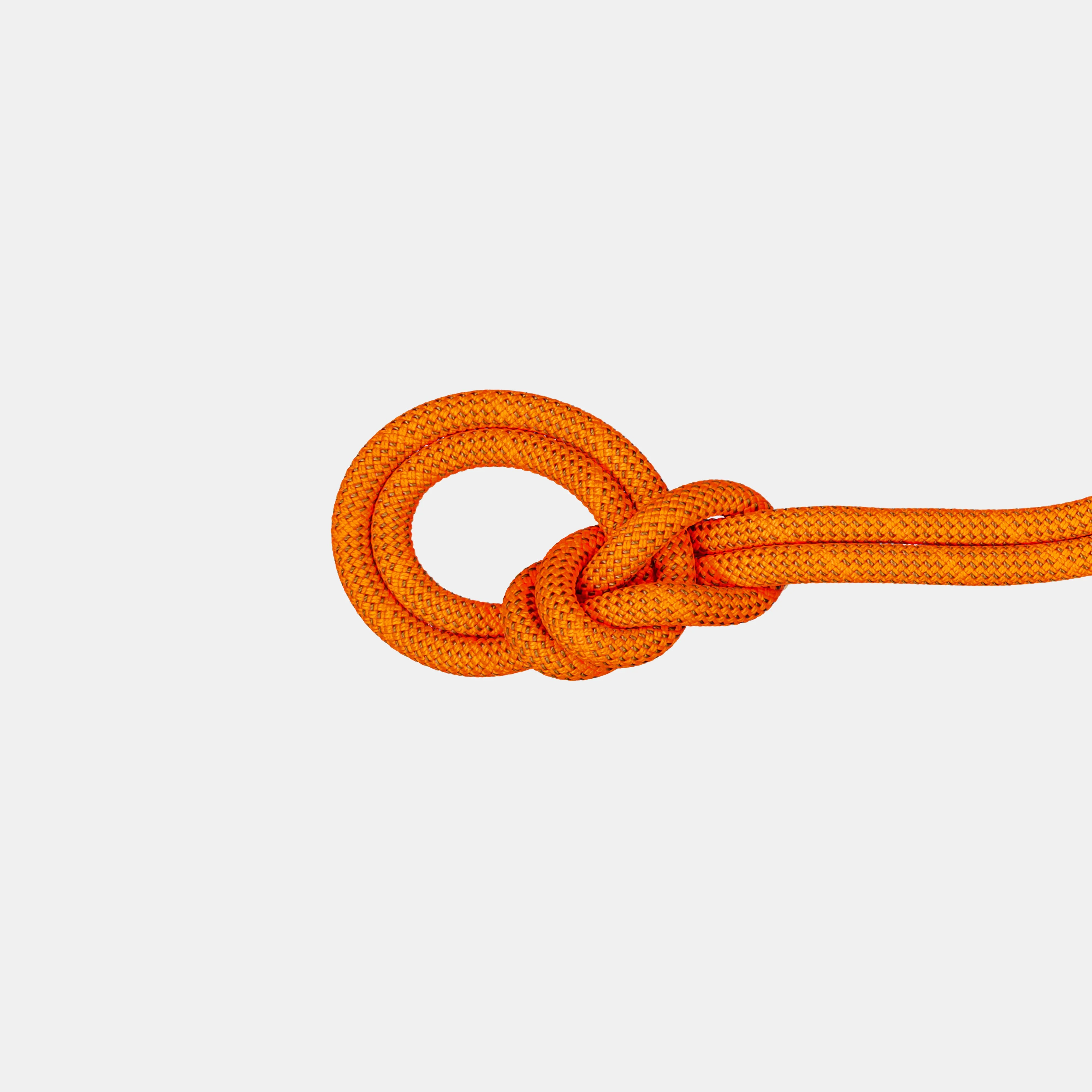 9.8 Crag Dry Rope