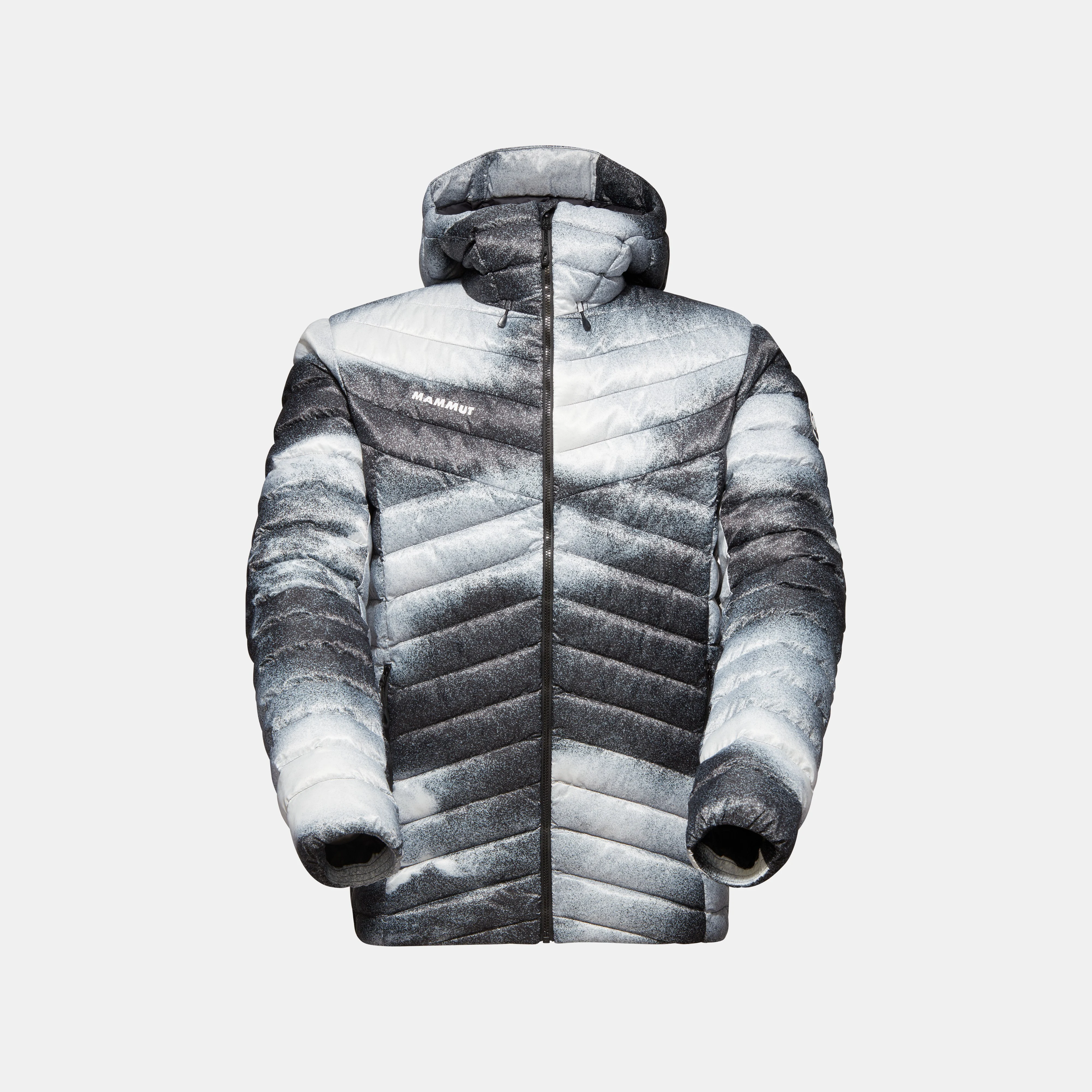 Albula IN Hooded Jacket Men Grain