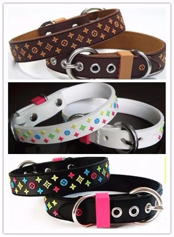 Trendy Pet Collar & Lead