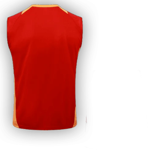 Bayern Munich 2024/25 Training Vest