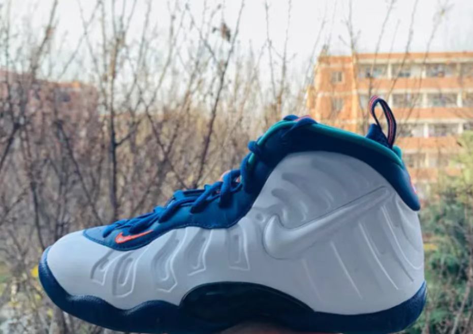 Nike Air Foamposite One "Gators" / "Florida"