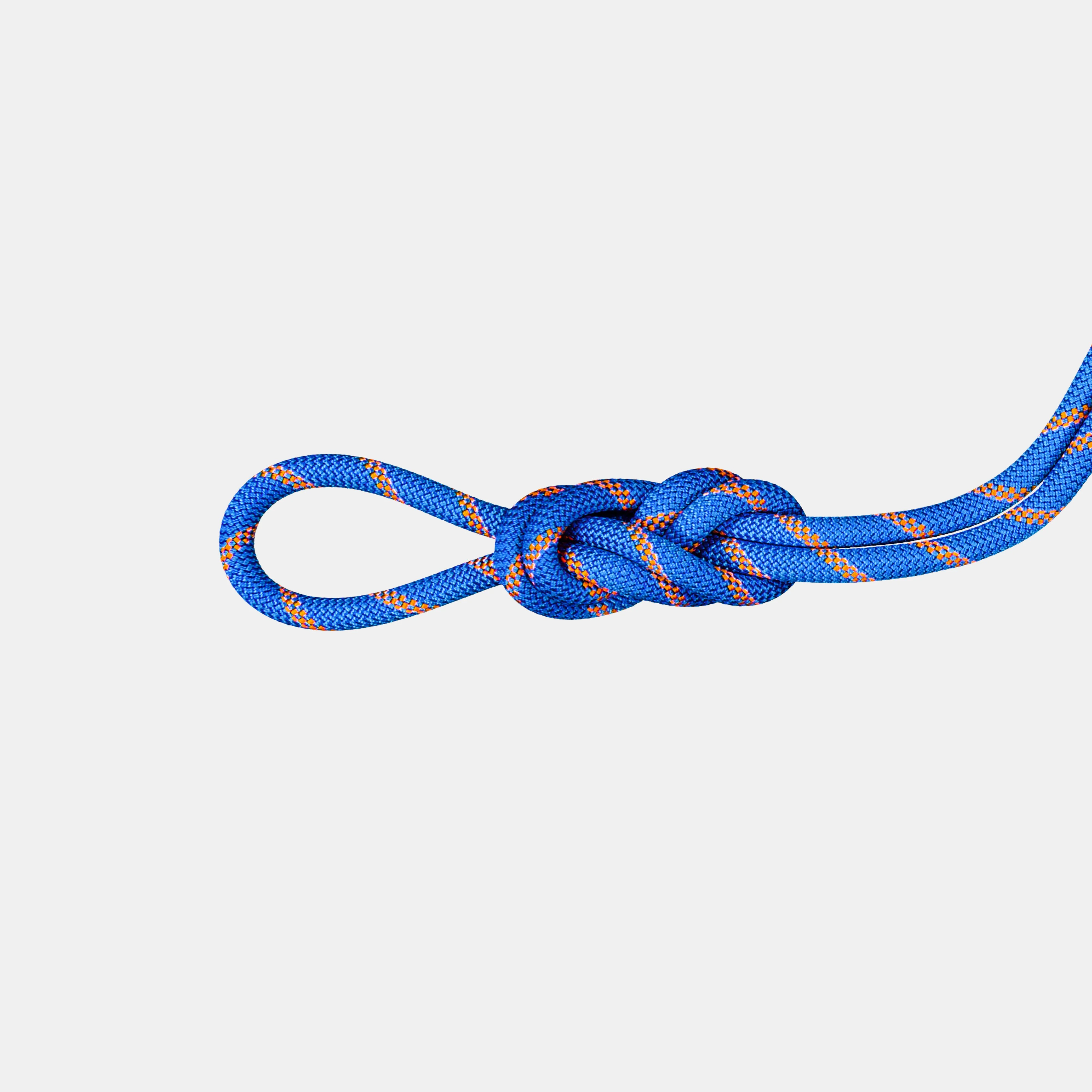 9.0 Alpine Sender Dry Rope