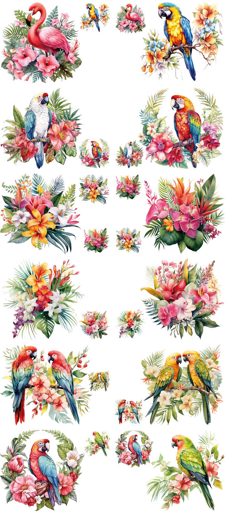 Parrot Flower