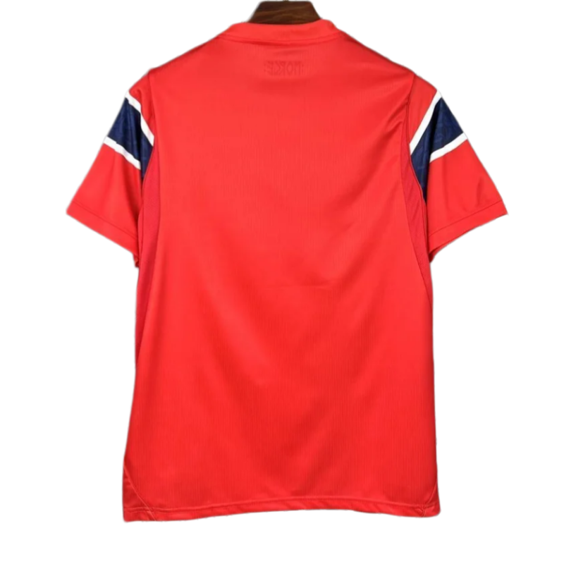 2026 World Cup Norway Home Football jersey Fan edition