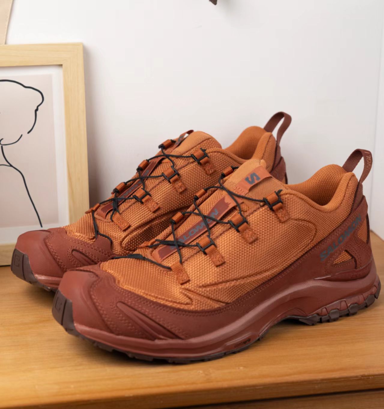 Salomon XA Pro 3D Brown Leather Mesh Hiking Shoes