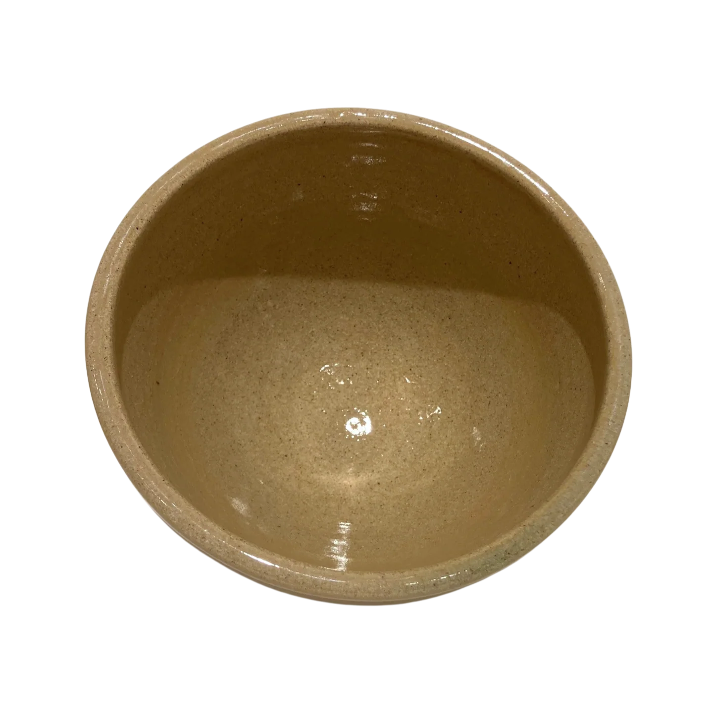 Rudra Schultz Ray - Bowl