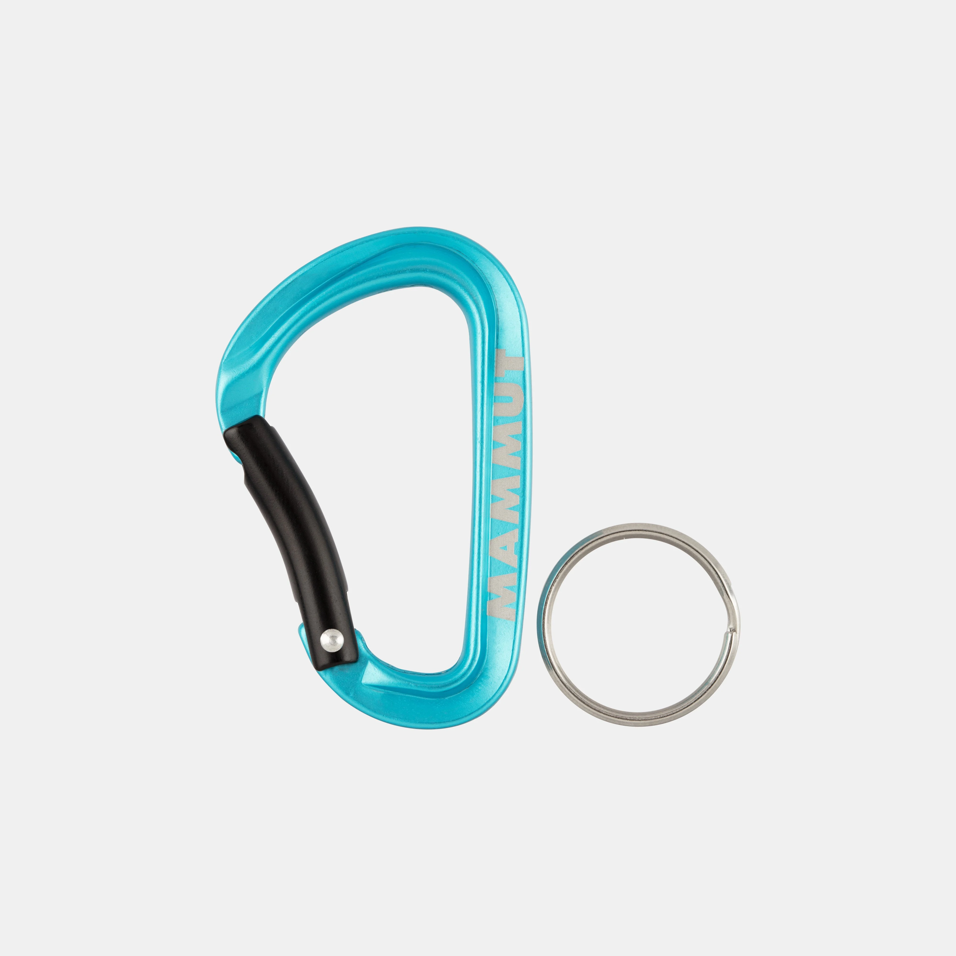 Mammut Mini Carabiner Classic Keylock S