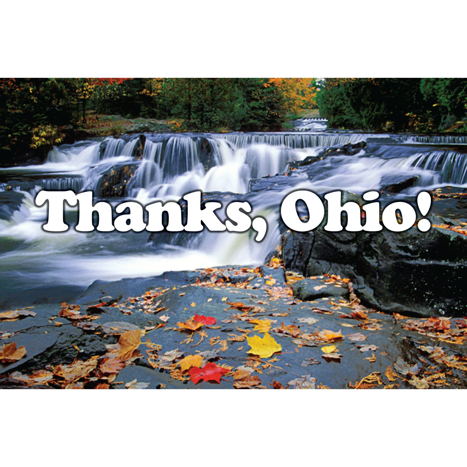 TOLEDO WAR CHAMPS (UNISEX)