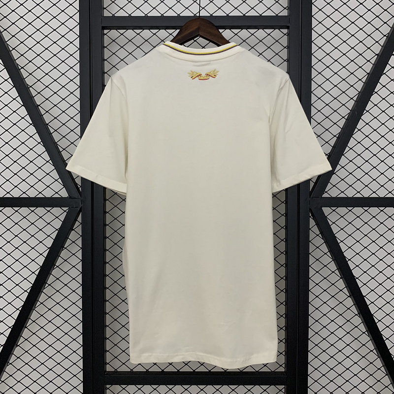 Colombia Soccer Jersey Cotton Custom T-shirt 2025