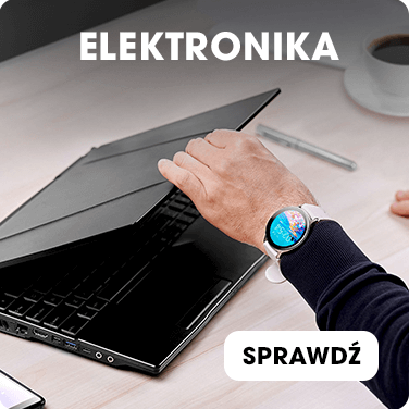 Elektronika