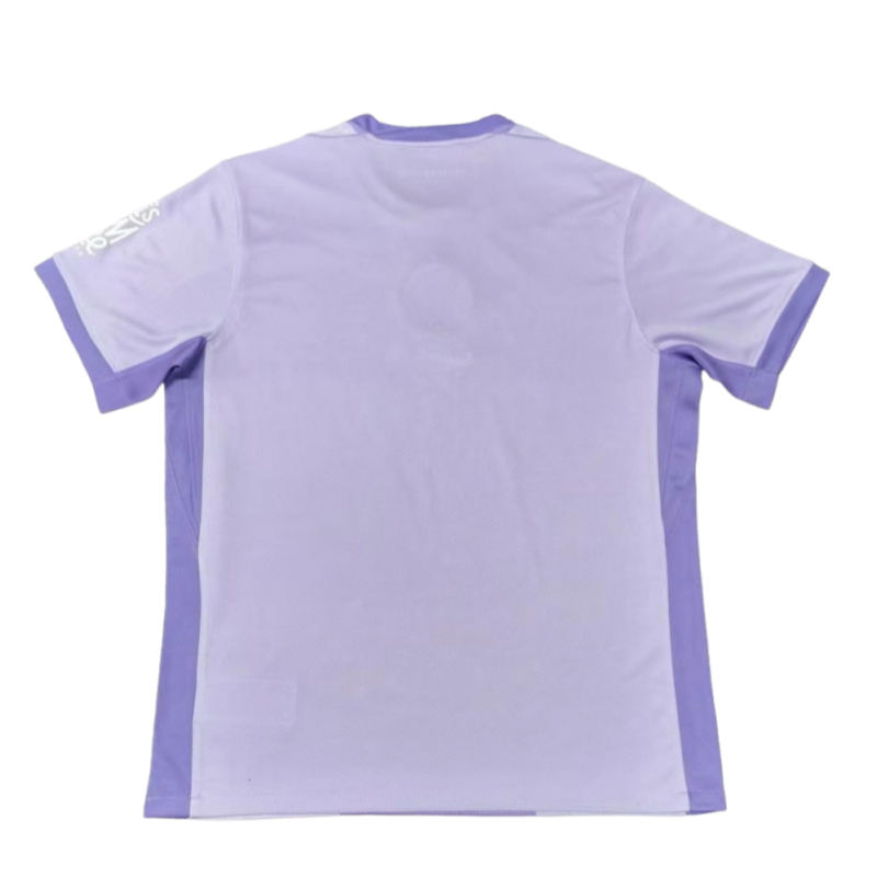 Brighton & Hove Albion  Away Football jersey 2025-26 Fan Version
