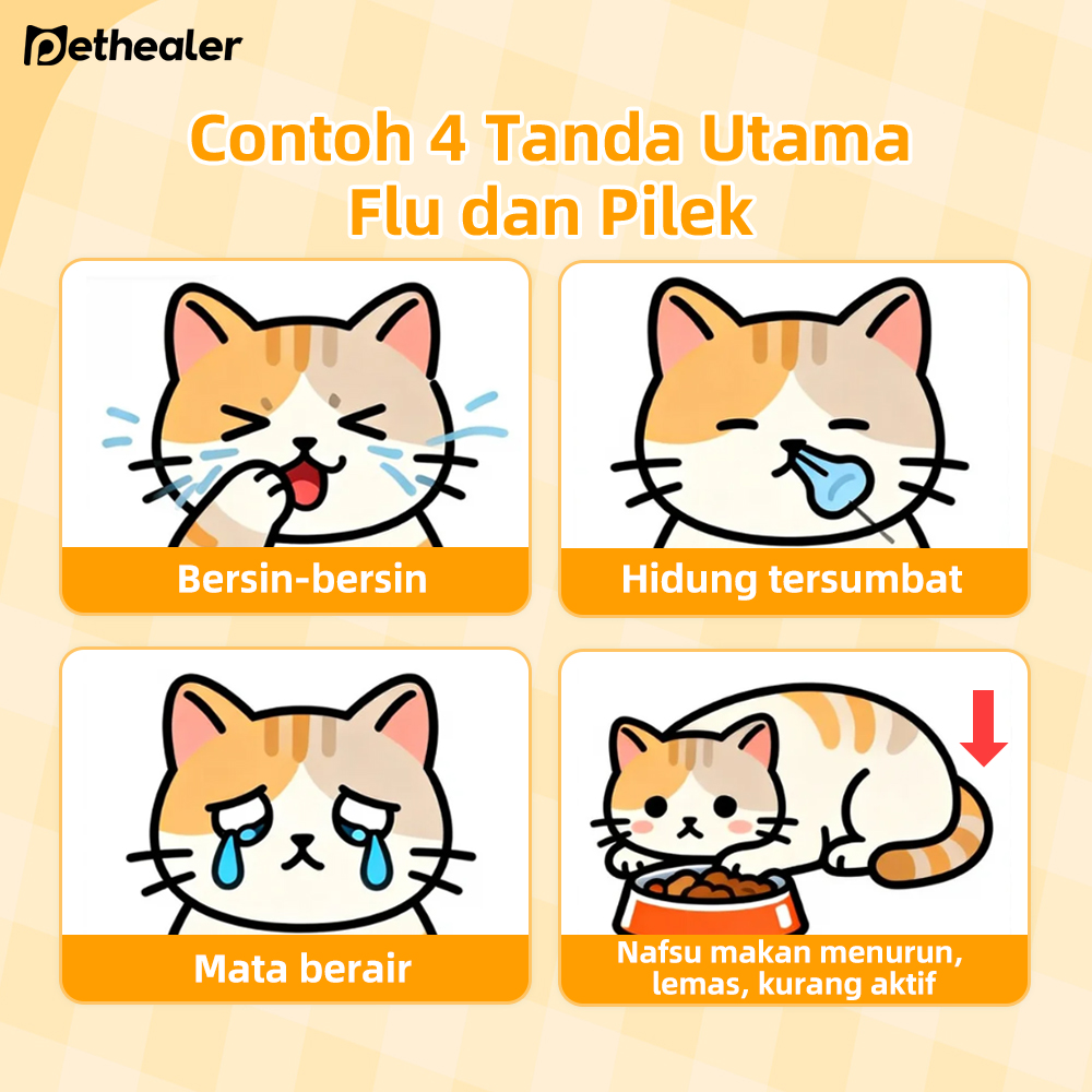 Vitamin Obat Kucing PETHEALER Cold & Flu  untuk Mengatasi Sakit Flu & Pilek Berat, Hidung Tersumbat, Bersin-Bersin, Mata Berair, Basmi Bakteri dan Virus, Tingkatkan Sistem Imun/Daya Tahan Tubuh