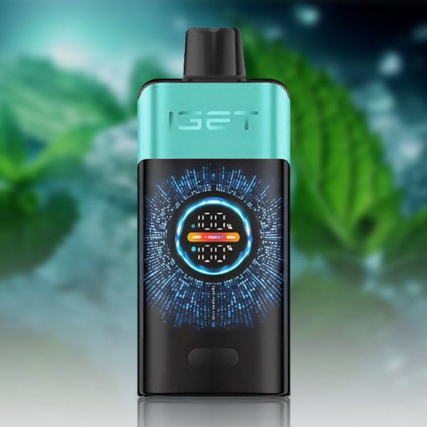 Fast Shipping from Australia |IGET ONE 12000 Puffs Disposable Vape | Smart Screen | 2700mAh Battery | Turbo Mode