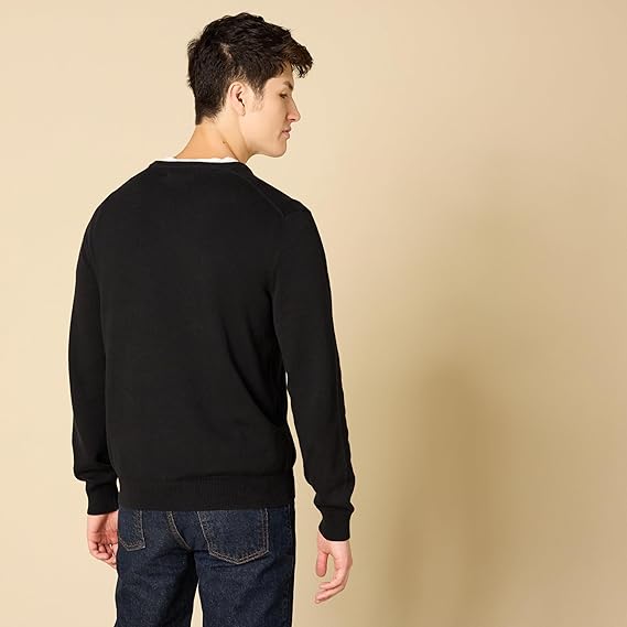 Men's V-neck sweater (available in large and extra long sizes)