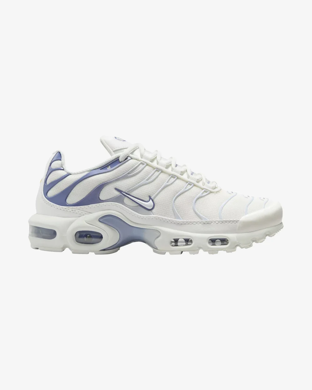 NIKE AIR MAX PLUS TN ASHEN SLATE