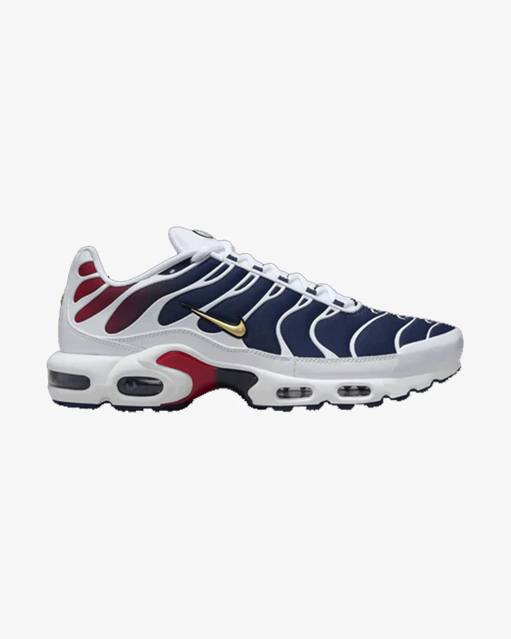NIKE AIR MAX PLUS TN PSG