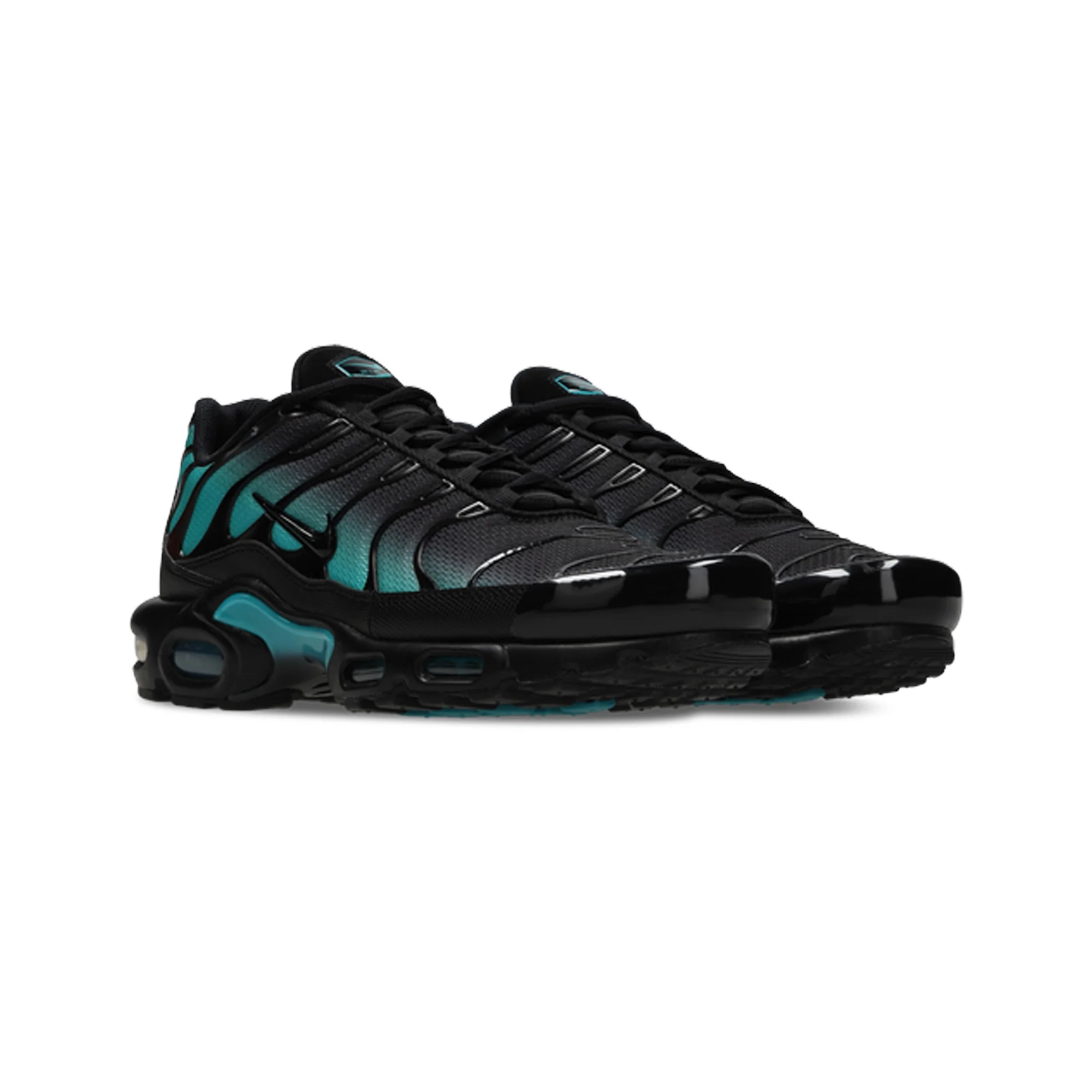 Nike Air Max Plus TN 'Black Dusty Cactus' (2025)