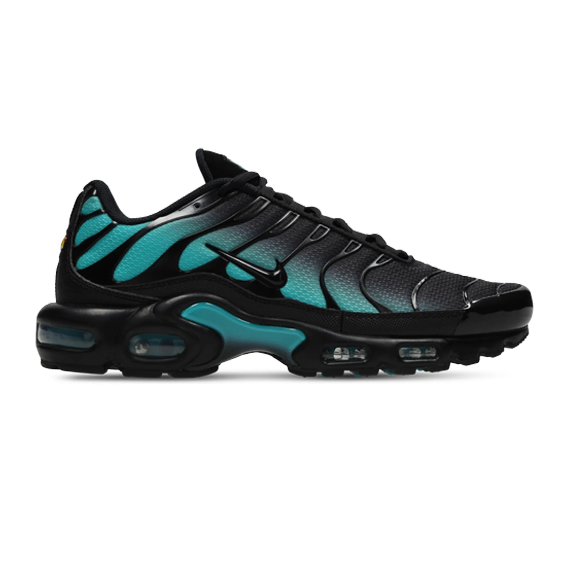 Nike Air Max Plus TN 'Black Dusty Cactus' (2025)