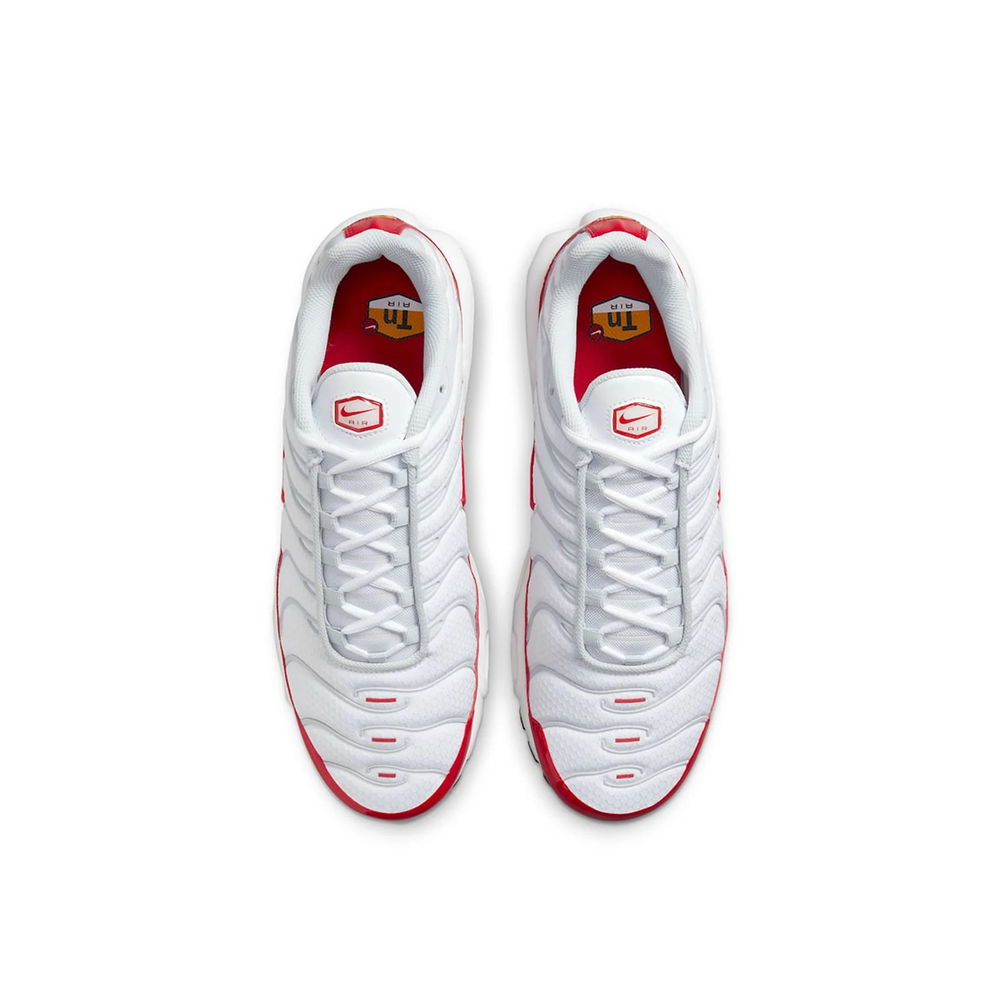Air Max TN Plus 'Air Max 1'