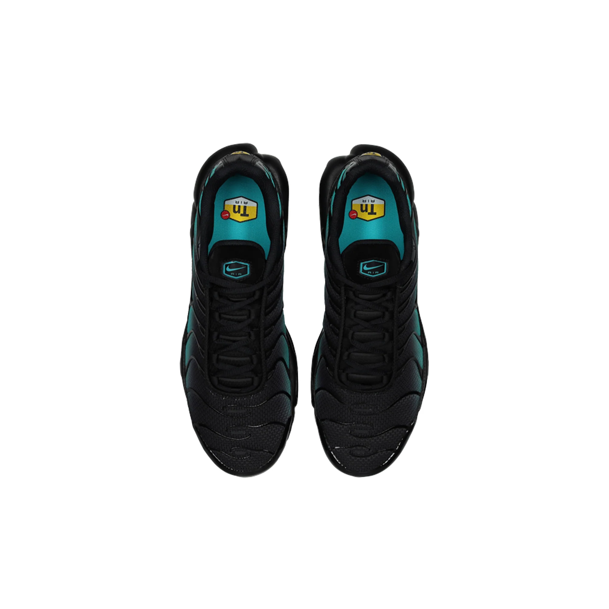 Nike Air Max Plus TN 'Black Dusty Cactus' (2025)