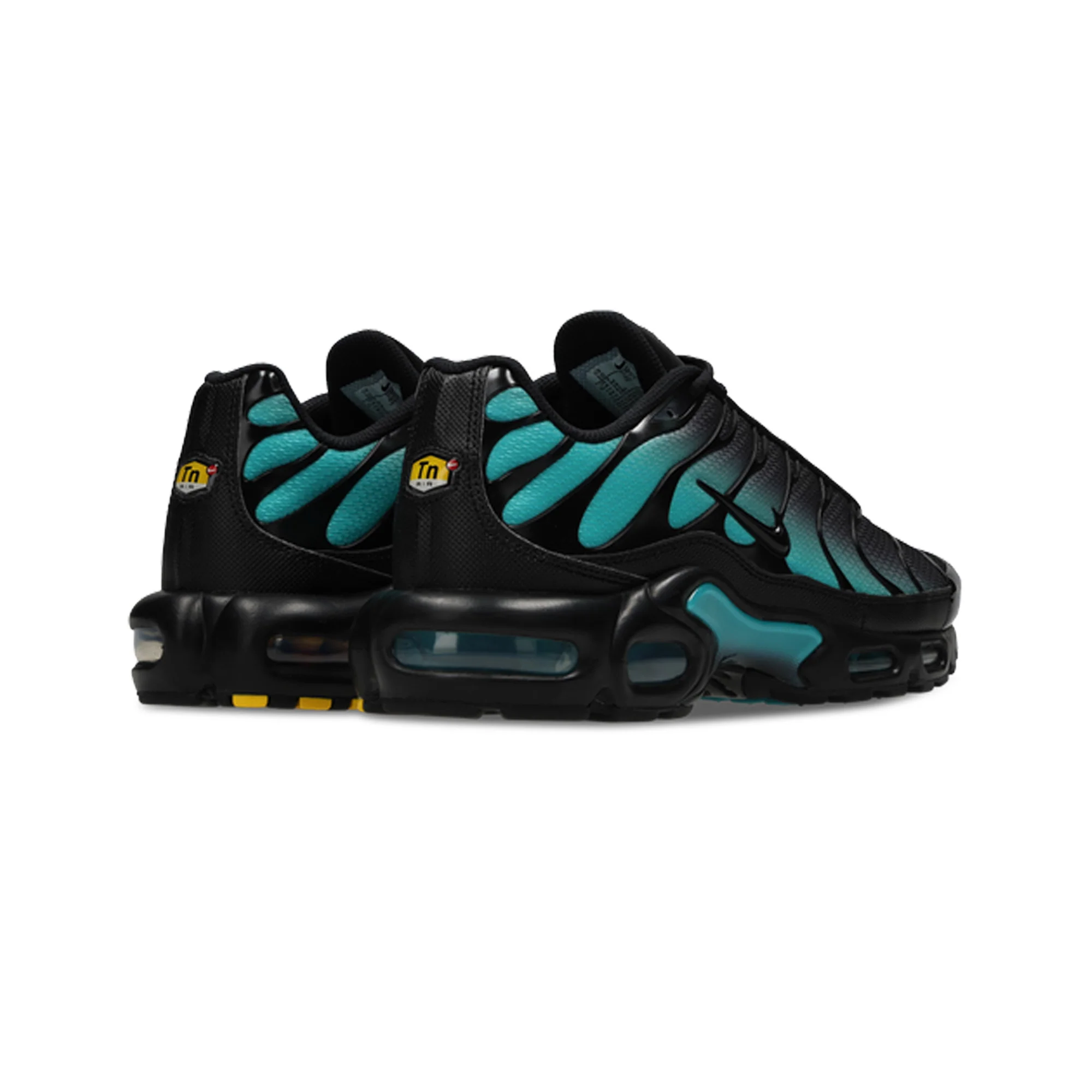 Nike Air Max Plus TN 'Black Dusty Cactus' (2025)