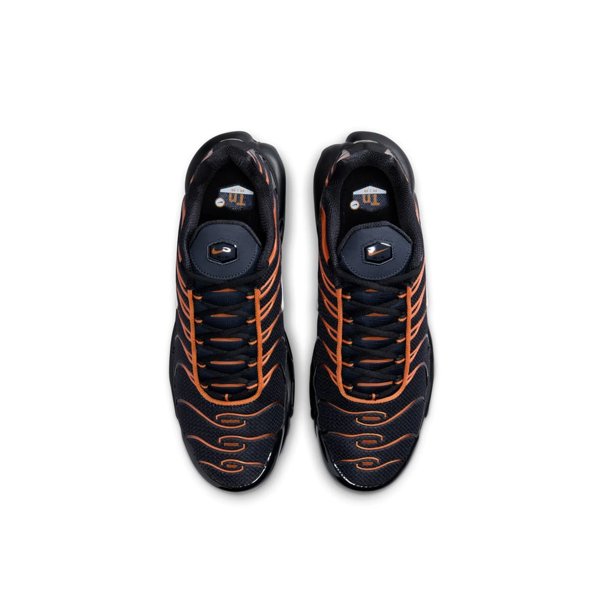 Nike Air Max Plus TN 'Dark Obsidian Monarch' (2024)