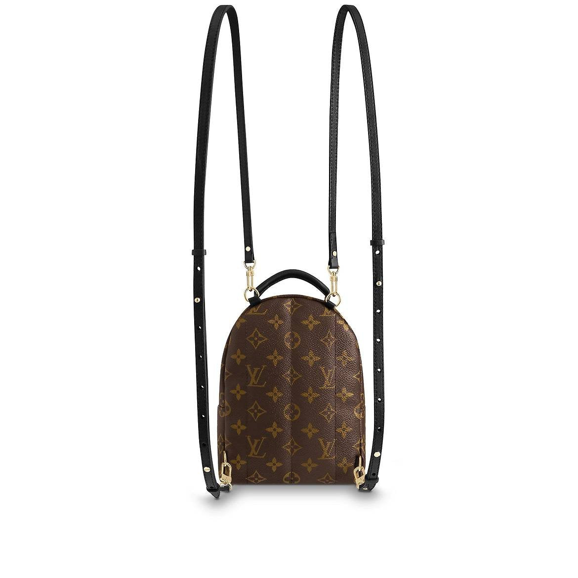 LV Palm Springs Mini M41562