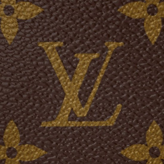LV Mini Pochette Accessoires M58009