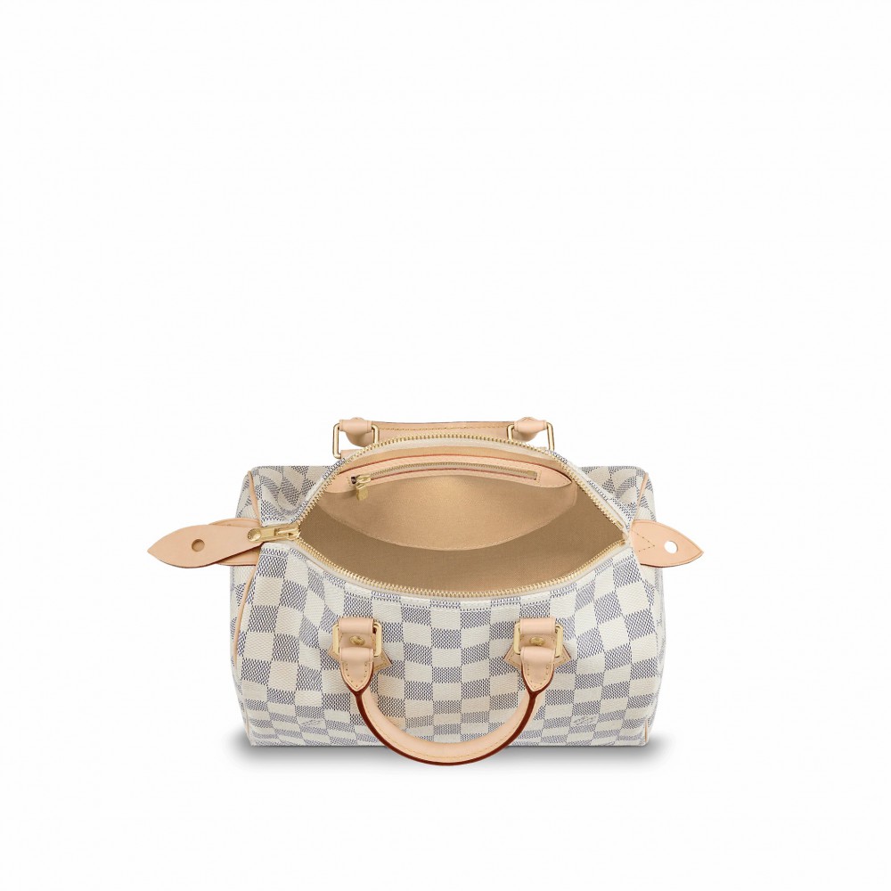 Louis Vuitton Speedy 25 N41371