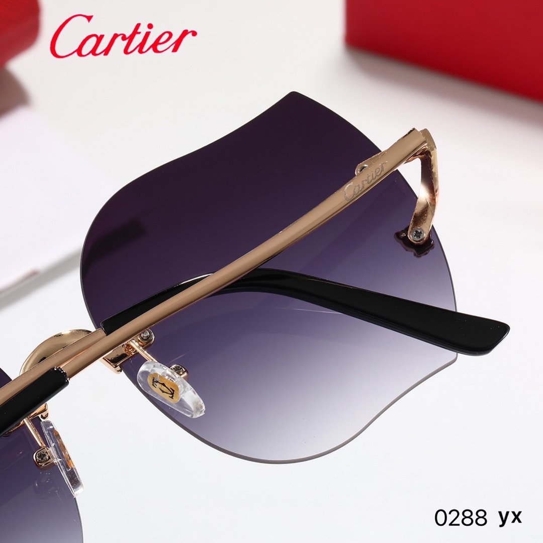 3 Color Women's Sunglasses—0288