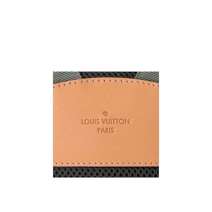 LV Backpack PM M43882