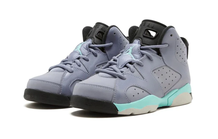 (GS) Air Jordan 6 Retro 'Iron Purple' 543389-508
