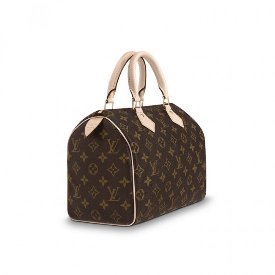 Louis Vuitton Speedy 25 M41109