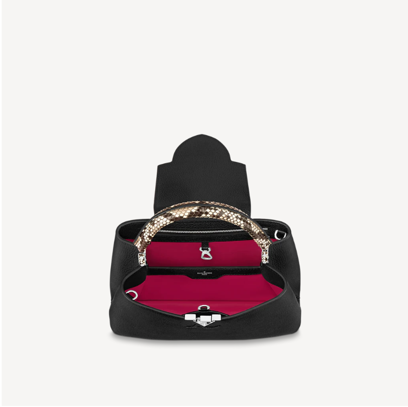 LV CAPUCINES MM - N92800