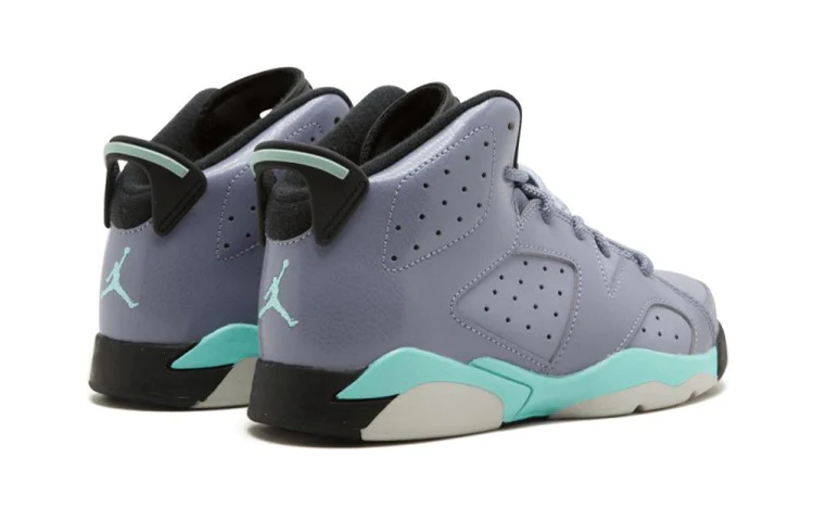 (GS) Air Jordan 6 Retro 'Iron Purple' 543389-508