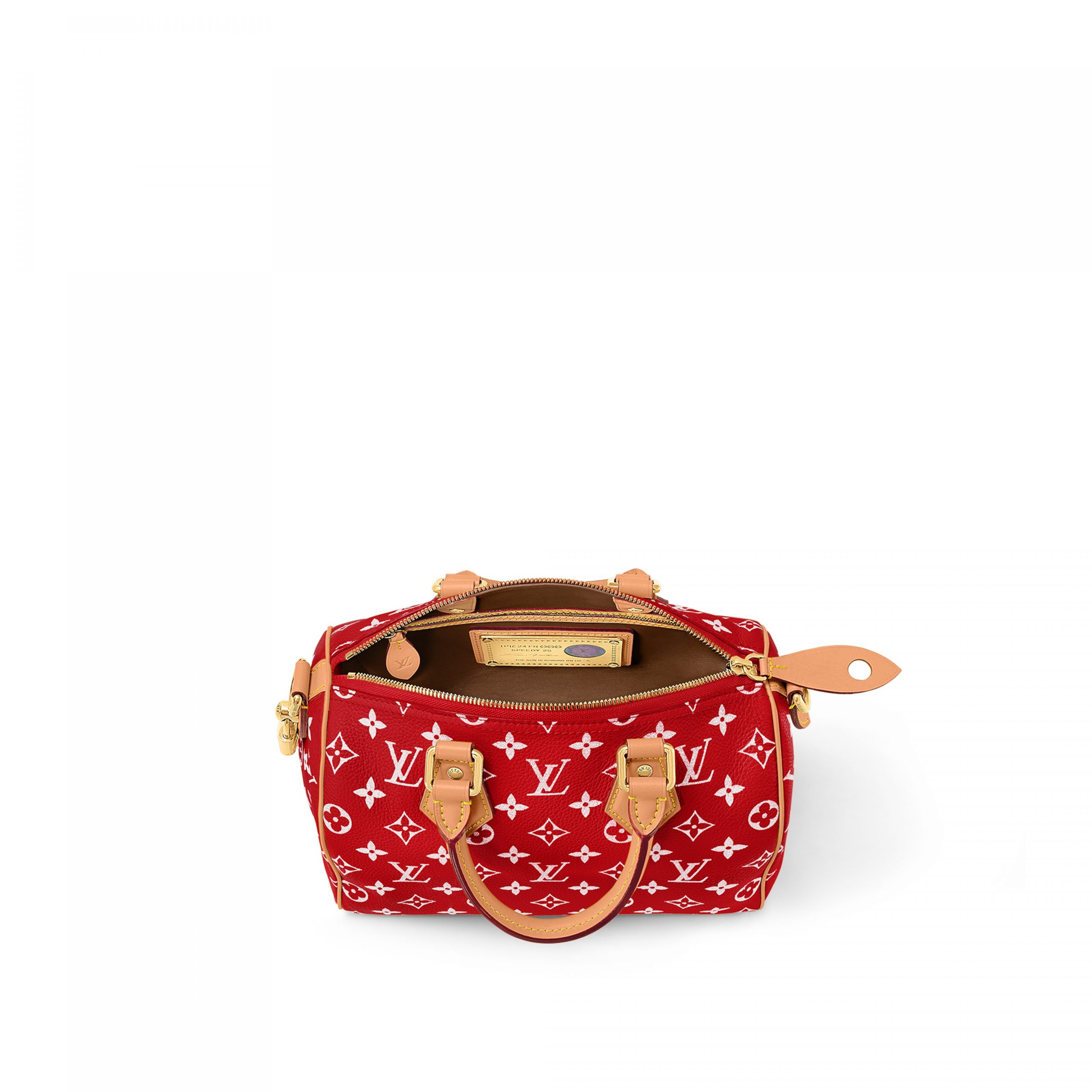 Louis Vuitton M24425 Speedy P9 Bandoulière 25 Red