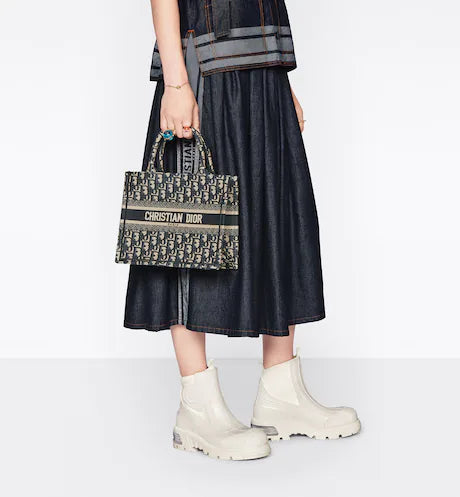 SMALL DIOR BOOK TOTE Blue Toile de Jouy Reverse Embroidery (26.5 x 21 x 14 cm)