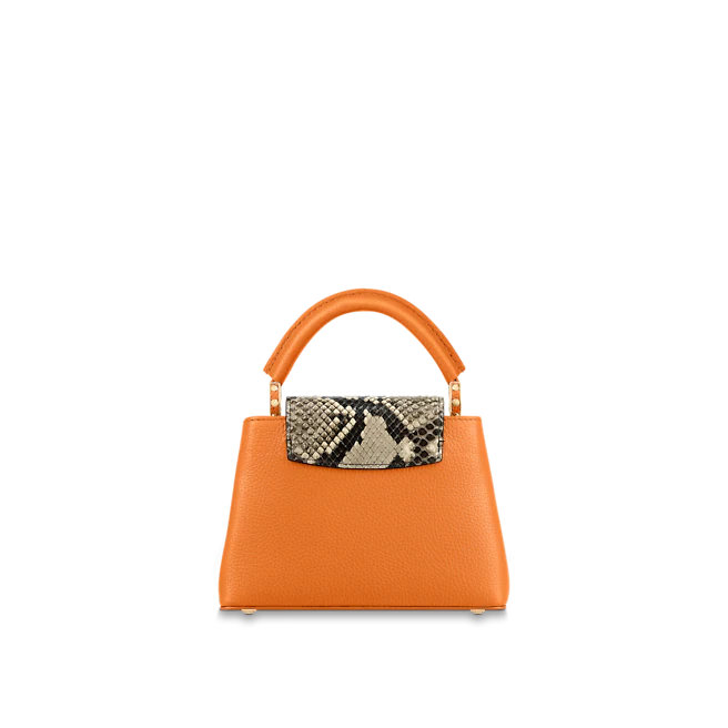 LV Capucine MINI
