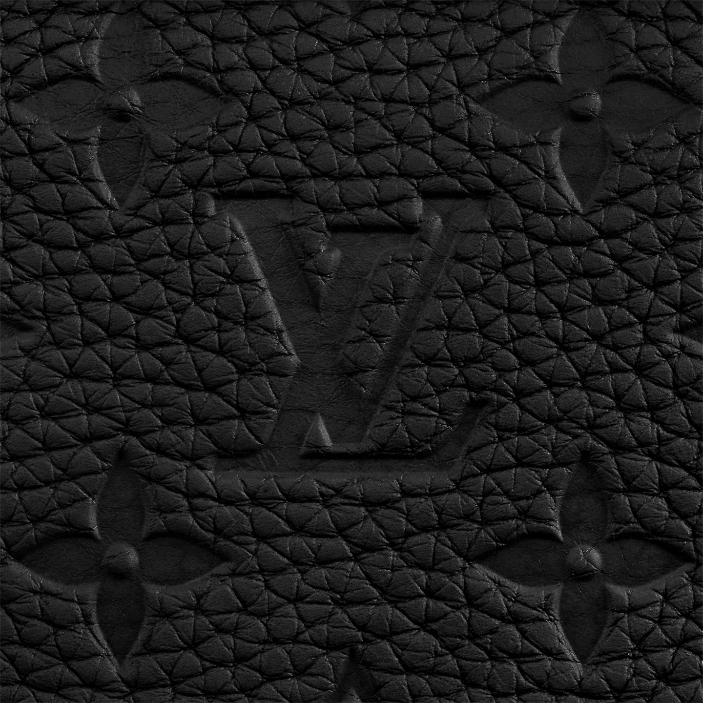 Louis Vuitton Monogram Taurillon Leather M55700 Soft Trunk