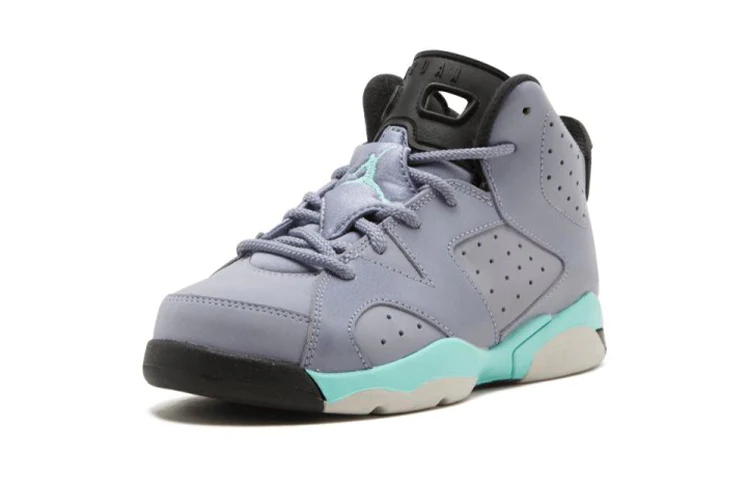 (GS) Air Jordan 6 Retro 'Iron Purple' 543389-508