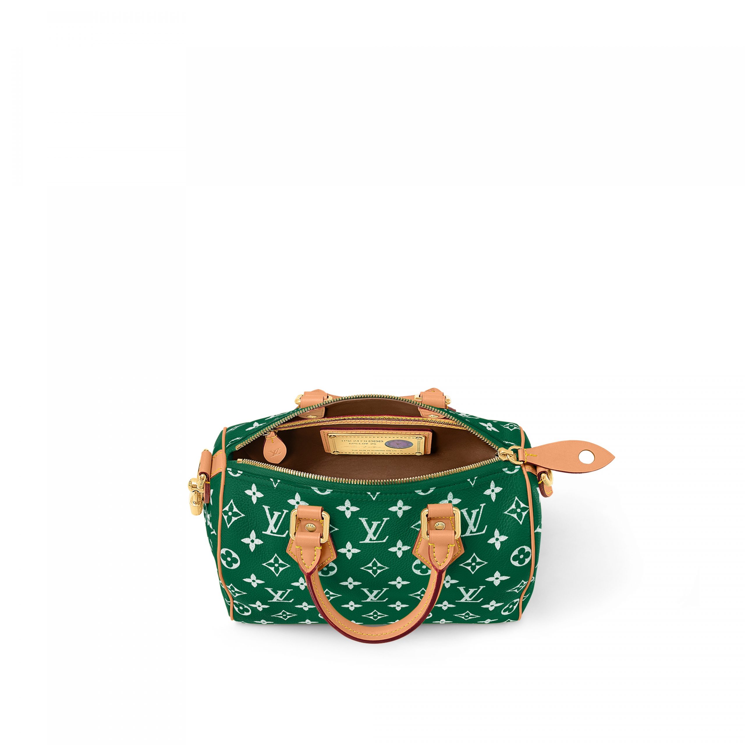 Louis Vuitton M24423 Speedy P9 Bandoulière 25 Green