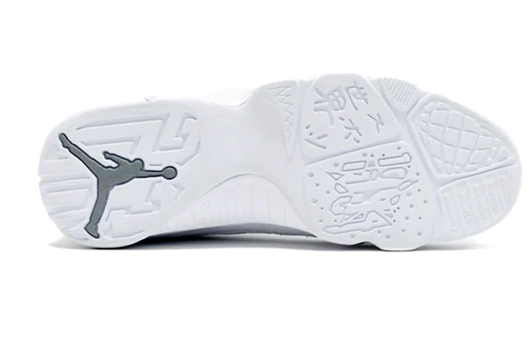 Air Jordan 9 Retro '25th Anniversary' 302370-104