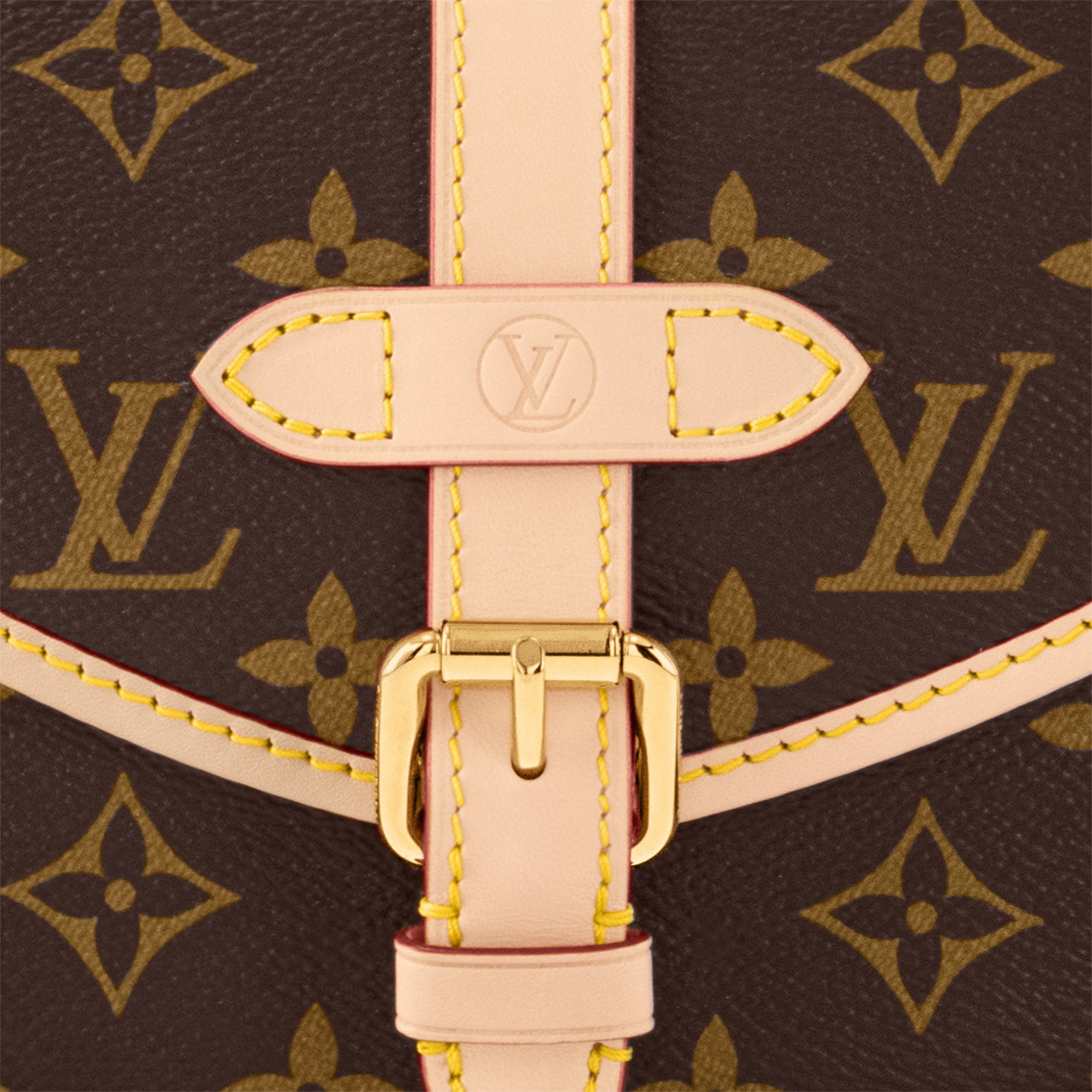 Louis Vuitton Monogram M46740 Saumur BB
