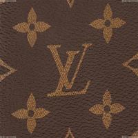 Louis Vuitton Brazza Wallet M66540