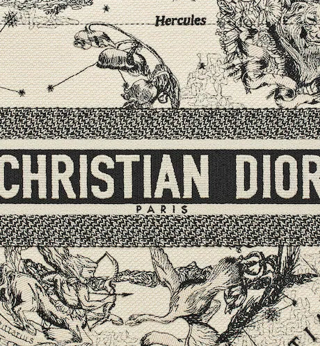 MEDIUM DIOR BOOK TOTE Latte Dior Zodiac Embroidery (36 x 27.5 x 16.5 cm)