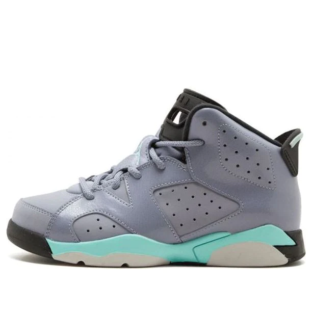 (GS) Air Jordan 6 Retro 'Iron Purple' 543389-508